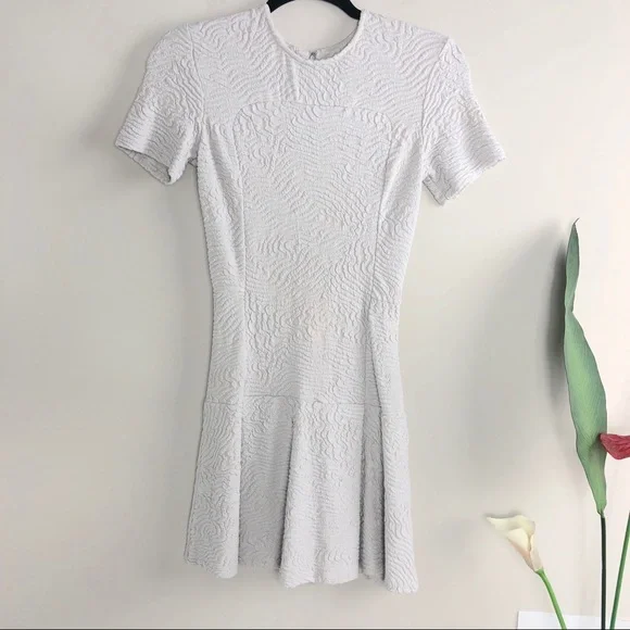 OPENING CEREMONY Textured Light Gray Skater Dress - Picture 1 of 5